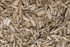 biomass boilers Pole Elm